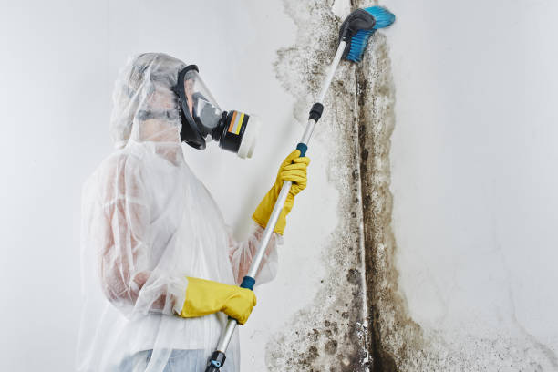 Best Crawl Space Mold Removal  in Farrell, PA