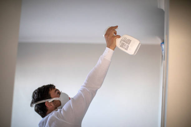 Best Mold Removal Near Me  in Farrell, PA