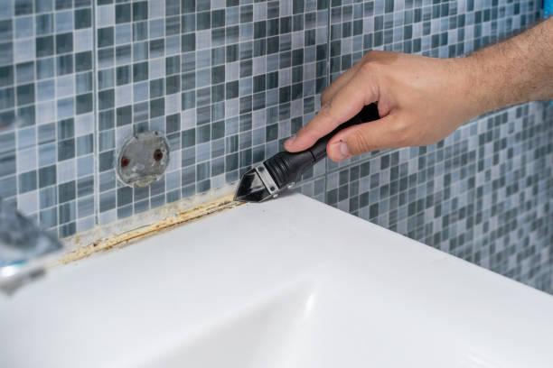 Best Mold Damage Repair  in Farrell, PA