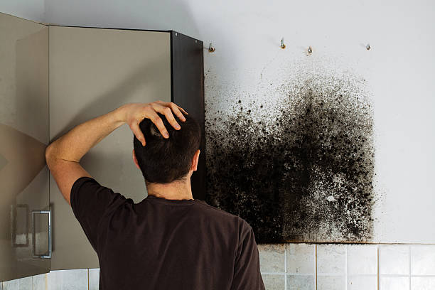 Best Commercial Mold Removal  in Farrell, PA