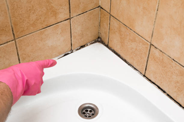 Best Mold Testing  in Farrell, PA